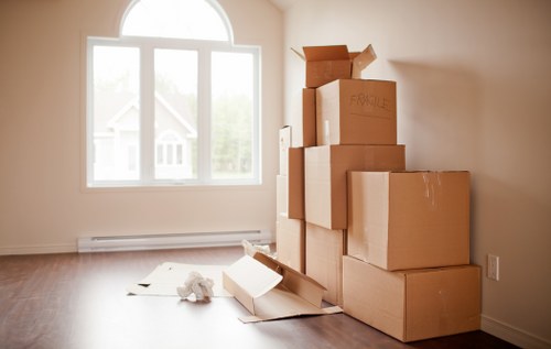 Packing materials and organized boxes